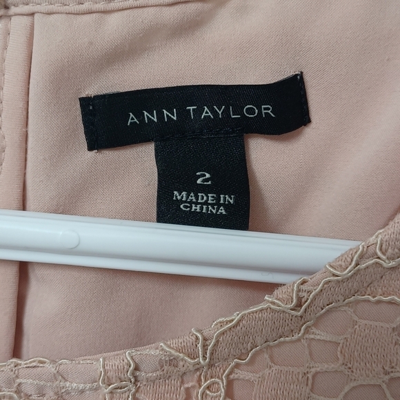 ANN Taylor Blush Lace Midi dress - Picture 5 of 5